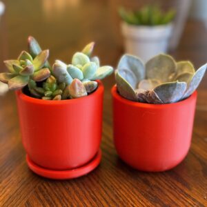 Harrington Planter 4oz