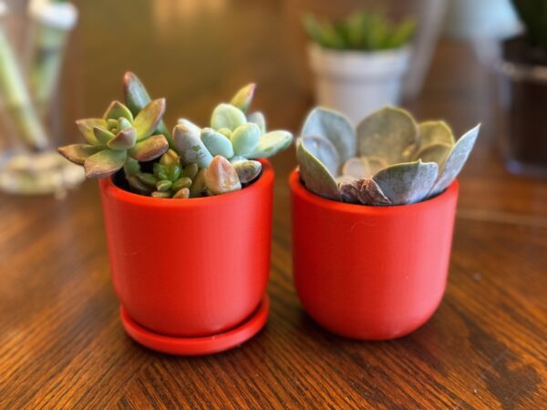 Harrington Planter 4oz